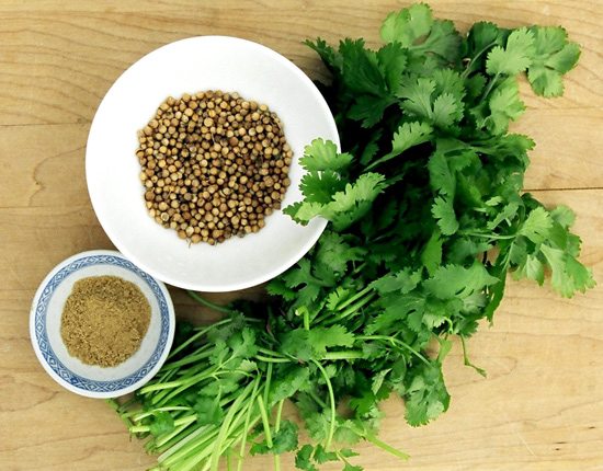 cilantro1