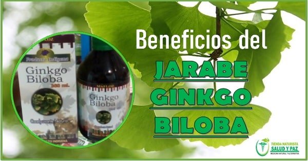 el jarabe de ginkgo biloba